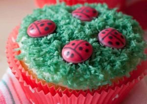 Muffins