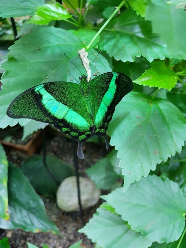 Biosphäre Potsdam