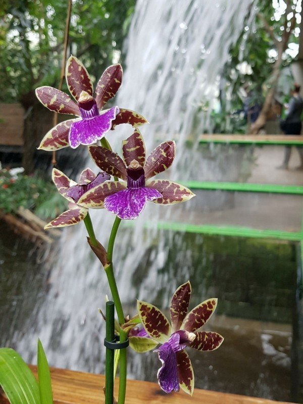 Biosphäre Potsdam