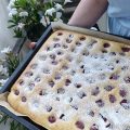 kirschkuchen vom blech, kirschkuchen thermomix, kirschkuchen rezept, kirschkuchen auf dem blech, kirschkuchen aus rührteig, kirschkuchen blech thermomix, kirschkuchen einfach schnell, kirschkuchen einen tag vorher backen, safttiger kirschkuchen, kirschkuchen frische kirschen, kirschkuchen im thermomix,