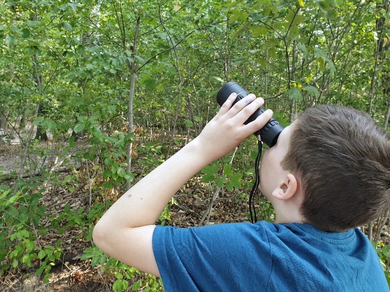 outdoor abenteuer für kinder, outdoor spiele für kinder, outdoor spielzeug für kinder, outdoor kinder aktivitäten, outdoor spiele kinder ab 10, outdoor aktivitäten für kinder berlin, outdoor beschäftigung kinder, outdoor kinder camping, coole outdoor spiele für kinder, outdoor equipment kinder, outdoor erlebnisse für kinder, outdoor equipment für kinder, Expedition Natur, moses. Verlag, Expedition Natur Produkte moses. Verlag,