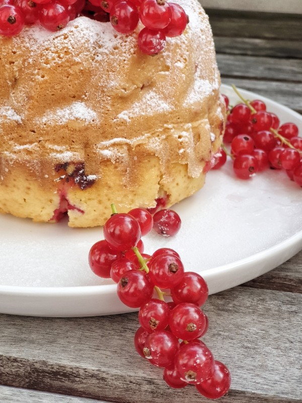 johannisbeer gugelhupf, gugelhupf mit johannisbeeren, gugelhupf mit johannisbeeren backen, johannisbeer gugelhupf rezept, johannisbeer gugelhupf thermomix,