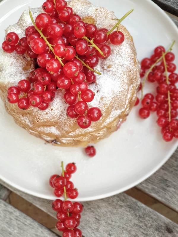 johannisbeer gugelhupf, gugelhupf mit johannisbeeren, gugelhupf mit johannisbeeren backen, johannisbeer gugelhupf rezept, johannisbeer gugelhupf thermomix,