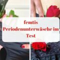 periodenunterwäsche test, periodenunterwäsche vegan, periodenunterwäsche kaufen, periodenunterwäsche anwendung, periodenslip, periodenslips, periodenunterwäsche baumwolle, perioden unterwäsche bei blasenschwäche, was ist periodenunterwäsche, wie funktioniert periodenunterwäsche, femtis periodenunterwäsche test, periodenunterwäsche günstig,