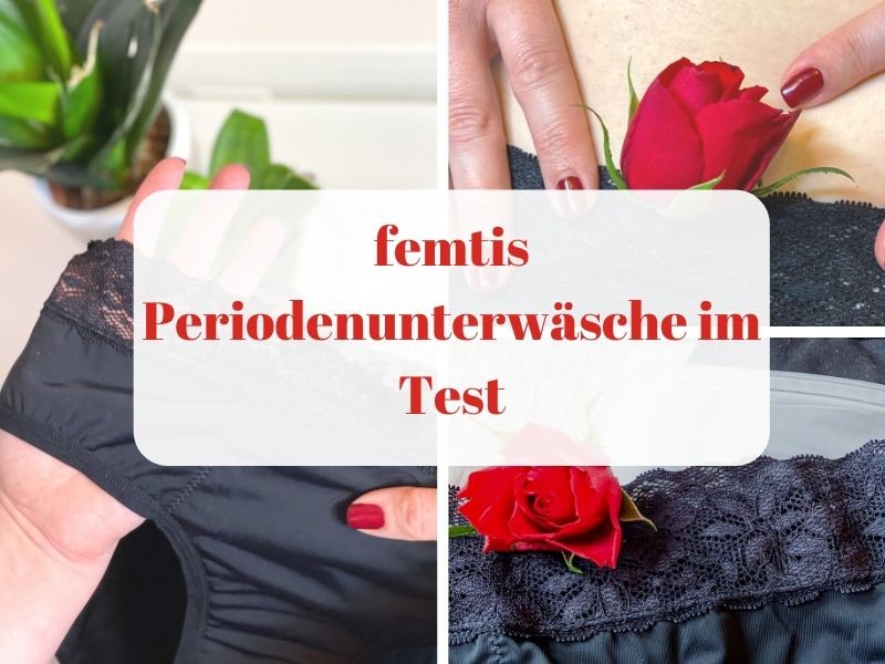 periodenunterwäsche test, periodenunterwäsche vegan, periodenunterwäsche kaufen, periodenunterwäsche anwendung, periodenslip, periodenslips, periodenunterwäsche baumwolle, perioden unterwäsche bei blasenschwäche, was ist periodenunterwäsche, wie funktioniert periodenunterwäsche, femtis periodenunterwäsche test, periodenunterwäsche günstig,